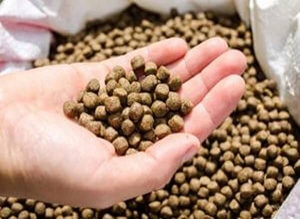 تصویر 2 از قیمت خرید غذا ماهی هلو فیش + فروش ویژه